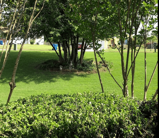 cooks pest control bill pay